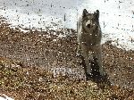 006_2009-0214-1214-26-JoeA.jpg